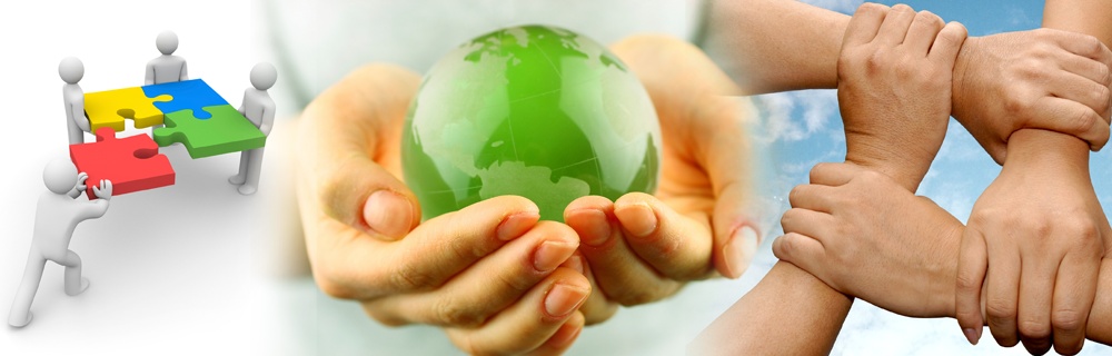 Company's Background